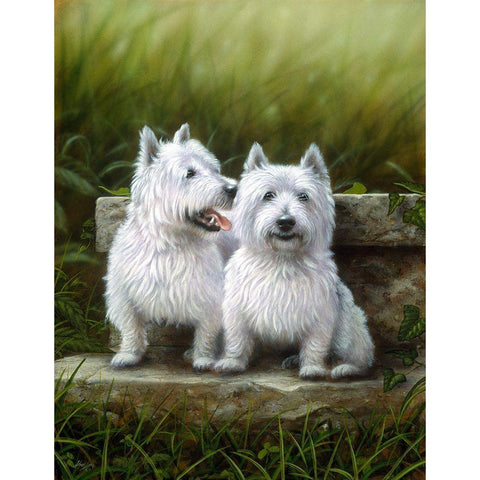 Js92-A White Modern Wood Framed Art Print by Silver, John