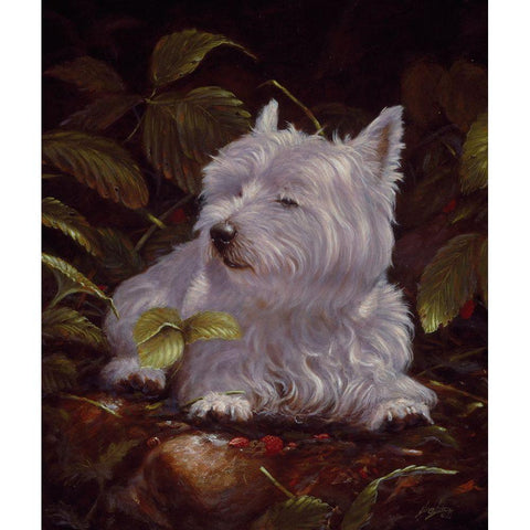 Js107-A White Modern Wood Framed Art Print by Silver, John