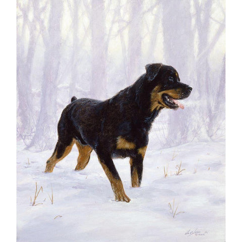 Jsm31-B White Modern Wood Framed Art Print by Silver, John