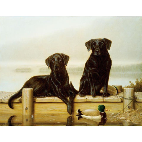 Jsm41-A Black Modern Wood Framed Art Print by Silver, John