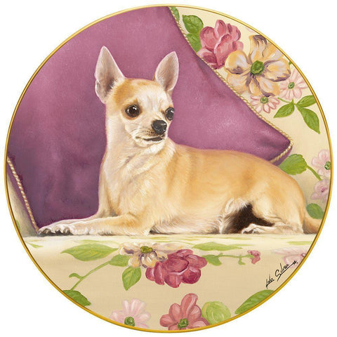 Chihuahua With Pillow White Modern Wood Framed Art Print by Silver, John