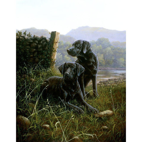 Country Companions White Modern Wood Framed Art Print by Silver, John