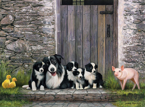 Farm Animal Stable Black Modern Wood Framed Art Print by Zaccheo, John