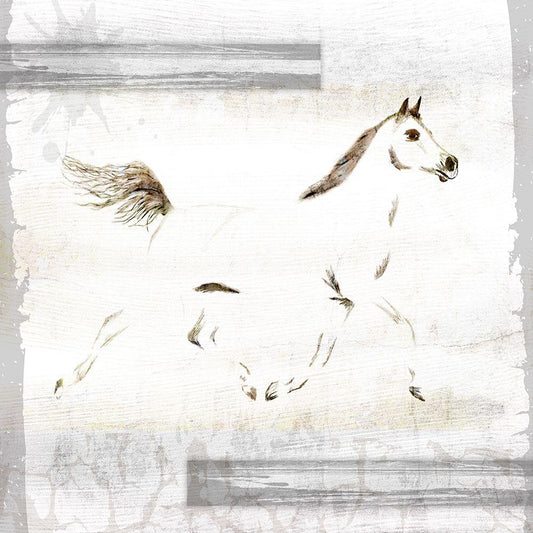 Image Only