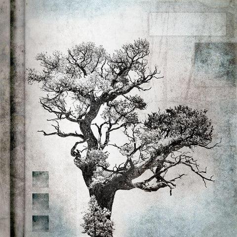 August Tree 4 White Modern Wood Framed Art Print by LightBoxJournal