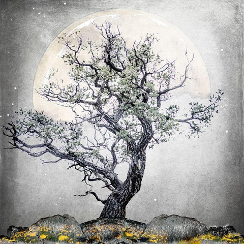 August Tree 5 White Modern Wood Framed Art Print by LightBoxJournal