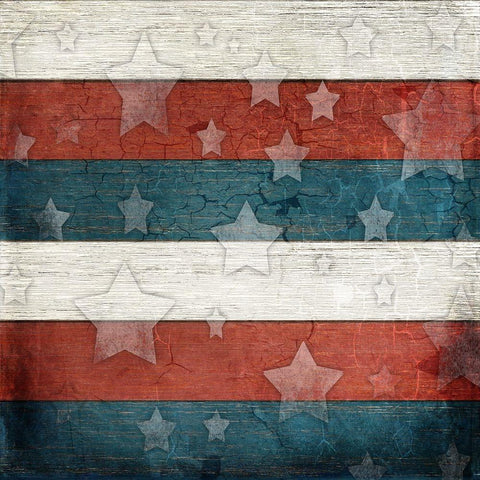 American Freedom Collection V3 Black Modern Wood Framed Art Print by LightBoxJournal