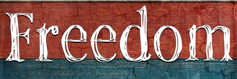 American Freedom Collection V11 White Modern Wood Framed Art Print with Double Matting by LightBoxJournal