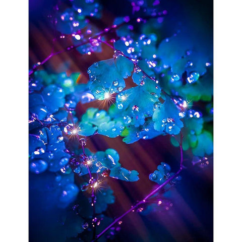 IMG_7586 Black Modern Wood Framed Art Print with Double Matting by Love Grams