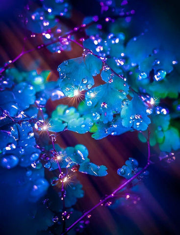 IMG_7586 White Modern Wood Framed Art Print with Double Matting by Love Grams