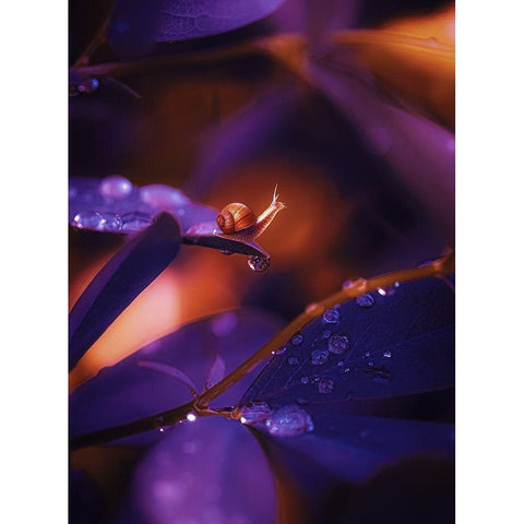 IMG_7588 White Modern Wood Framed Art Print by Love Grams