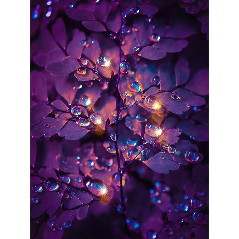 IMG_7591 Black Modern Wood Framed Art Print by Love Grams