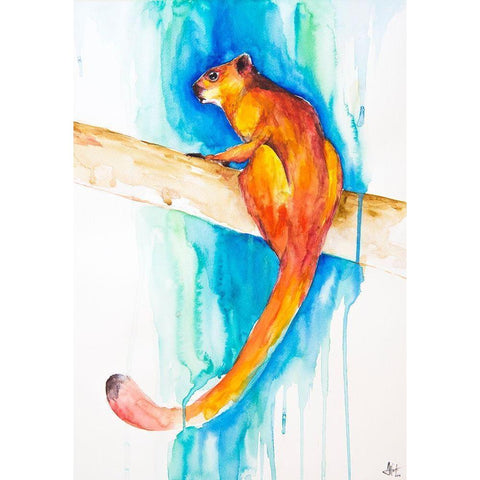 Giant Red Flying Squirrel (Habitat) Black Modern Wood Framed Art Print with Double Matting by Allante, Marc