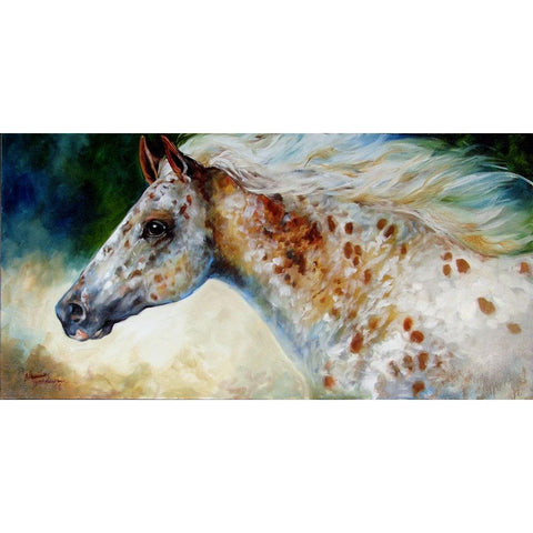 Appaloosa Spirit Black Modern Wood Framed Art Print with Double Matting by Baldwin, Marcia