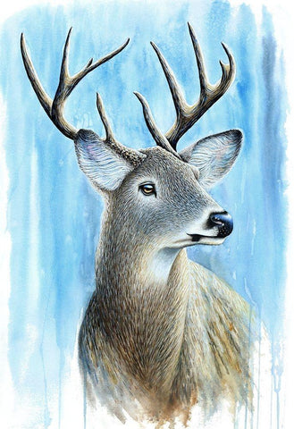 Buck White Modern Wood Framed Art Print with Double Matting by Wickstrom, Martin