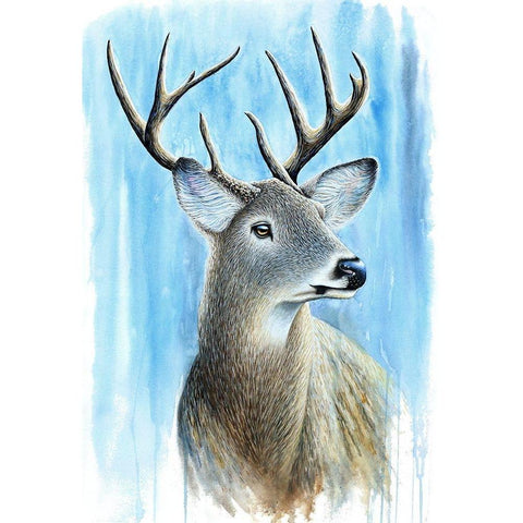 Buck Black Modern Wood Framed Art Print with Double Matting by Wickstrom, Martin