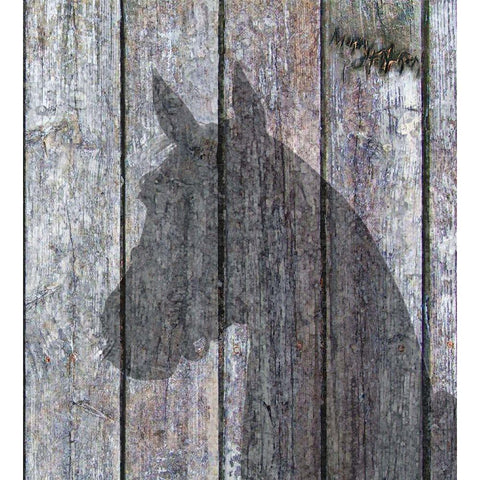 Horse Shadow Black Modern Wood Framed Art Print with Double Matting by Murray Henderson Fine Art