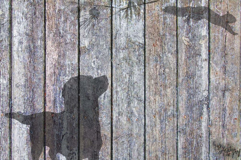 Lab And Squirrel Shadow Black Ornate Wood Framed Art Print with Double Matting by Murray Henderson Fine Art