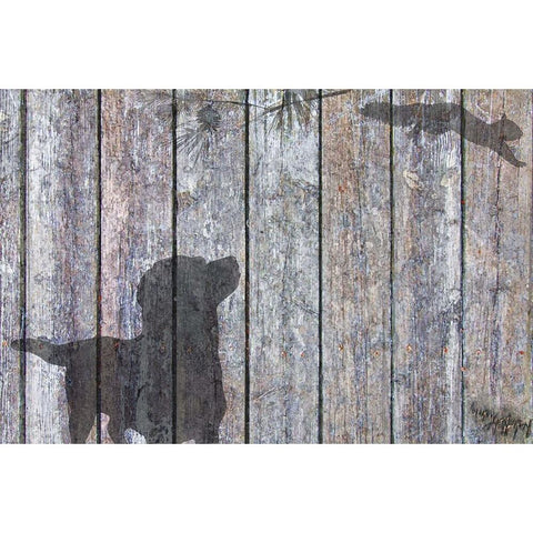 Lab And Squirrel Shadow White Modern Wood Framed Art Print by Murray Henderson Fine Art