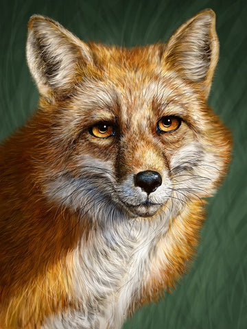 Red Fox Totem Black Ornate Wood Framed Art Print with Double Matting by LaMontagne, Patrick