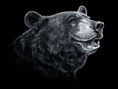 Black White Black Bear White Modern Wood Framed Art Print with Double Matting by LaMontagne, Patrick