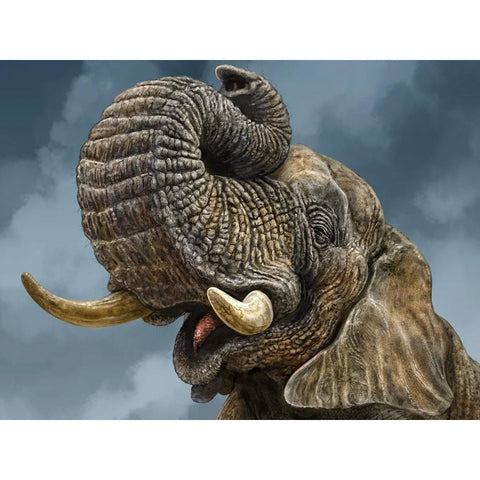 African Elephant Black Modern Wood Framed Art Print with Double Matting by LaMontagne, Patrick