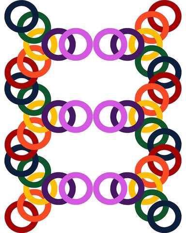 Rainbow Circles-8 Black Ornate Wood Framed Art Print with Double Matting by Homawoo, Richard