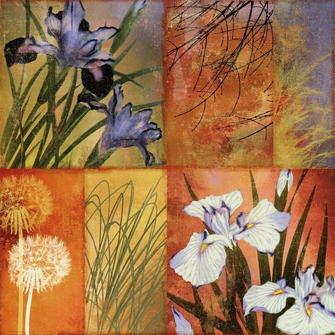 Grasslands I White Modern Wood Framed Art Print with Double Matting by Sasha