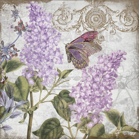 Victorian Romance III White Modern Wood Framed Art Print with Double Matting by Sasha