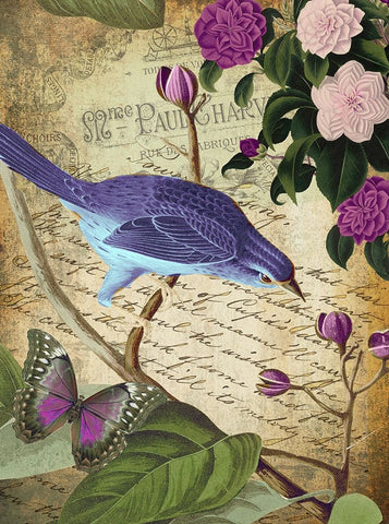 Petals and Wings II White Modern Wood Framed Art Print with Double Matting by Sasha