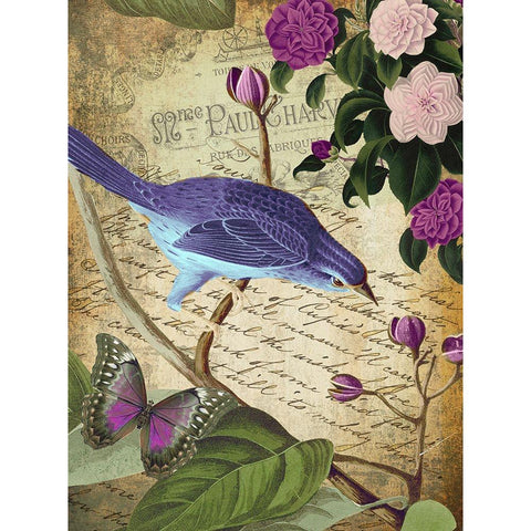 Petals and Wings II White Modern Wood Framed Art Print by Sasha