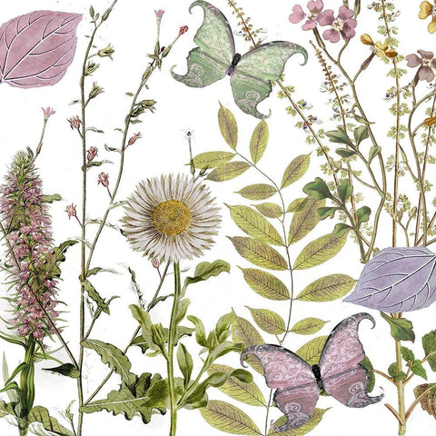 Botanique Refresh 2 Gold Ornate Wood Framed Art Print with Double Matting by Sasha