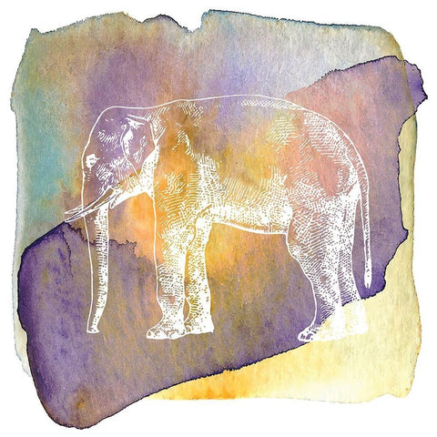 Color Spot Safari Animals elephant White Modern Wood Framed Art Print with Double Matting by Lavoie, Tina