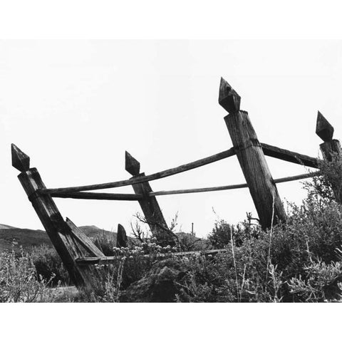 The Bodi Fence Black Modern Wood Framed Art Print with Double Matting by Koetsier, Albert