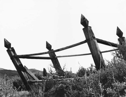 The Bodi Fence Black Ornate Wood Framed Art Print with Double Matting by Koetsier, Albert