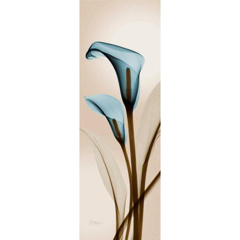 Blue Calla Lily Gold Ornate Wood Framed Art Print with Double Matting by Koetsier, Albert