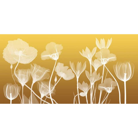 Transparent Flora White Modern Wood Framed Art Print by Koetsier, Albert