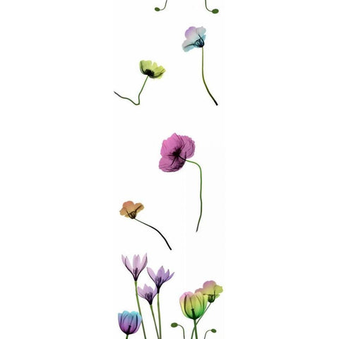 Floral Rainbow Pattern White Modern Wood Framed Art Print by Koetsier, Albert