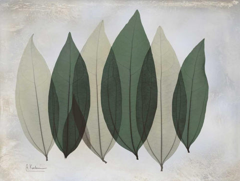 The Grays 1 Black Ornate Wood Framed Art Print with Double Matting by Koetsier, Albert