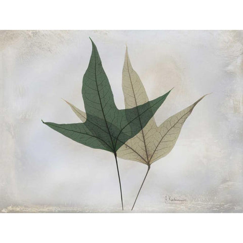 The Grays 2 White Modern Wood Framed Art Print by Koetsier, Albert