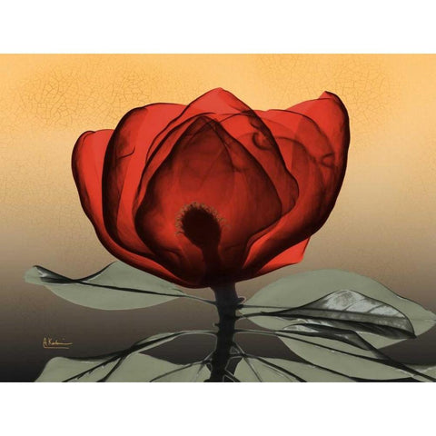 Hot Magnolia 2 White Modern Wood Framed Art Print by Koetsier, Albert