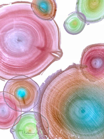 Millennial Tree Ring I Black Ornate Wood Framed Art Print with Double Matting by Koetsier, Albert