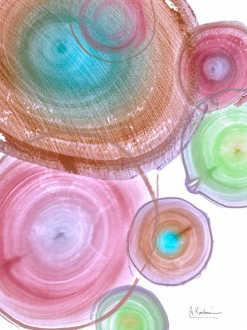 Millennial Tree Ring II Black Ornate Wood Framed Art Print with Double Matting by Koetsier, Albert