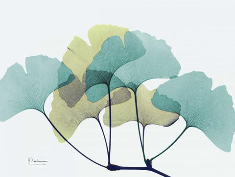 Gingko L140 White Modern Wood Framed Art Print with Double Matting by Koetsier, Albert