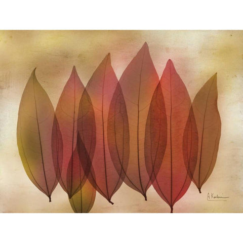 Harvest Light 1 Black Modern Wood Framed Art Print by Koetsier, Albert