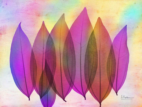 Retroluxed Coculus White Modern Wood Framed Art Print with Double Matting by Koetsier, Albert