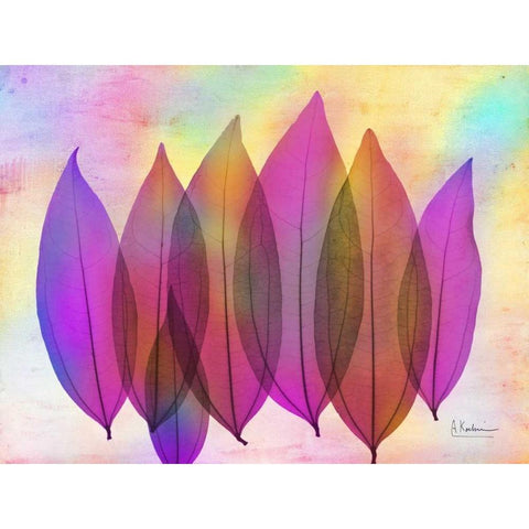 Retroluxed Coculus Black Modern Wood Framed Art Print by Koetsier, Albert