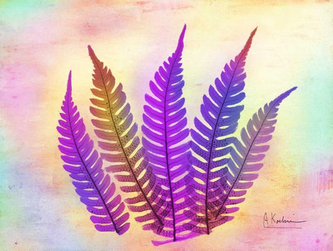 Retroluxed Fern White Modern Wood Framed Art Print with Double Matting by Koetsier, Albert