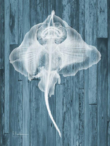 Skate Wood White Modern Wood Framed Art Print with Double Matting by Koetsier, Albert
