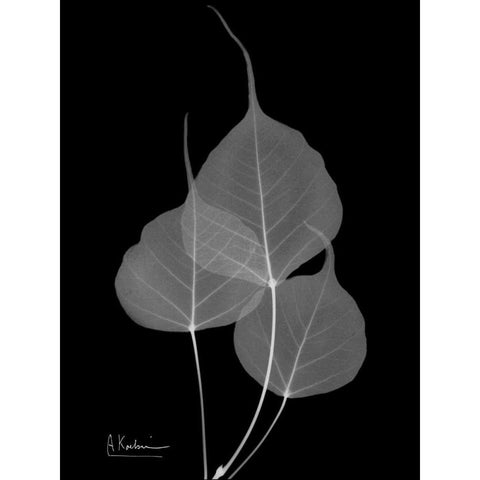 BoTree E158 Black Modern Wood Framed Art Print with Double Matting by Koetsier, Albert